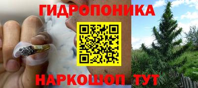 круглые Кимры